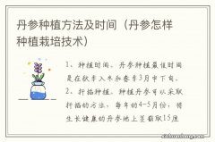 丹参怎样种植栽培技术 丹参种植方法及时间