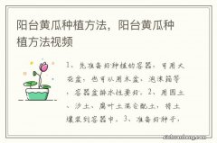 阳台黄瓜种植方法，阳台黄瓜种植方法视频