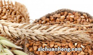 在美国去旅游注意什么饮食安全 在美国去旅游注意什么饮食