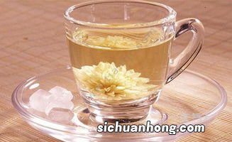 什么人不可以喝菊花茶