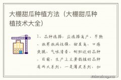 大棚甜瓜种植技术大全 大棚甜瓜种植方法