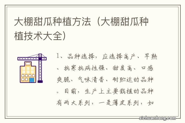 大棚甜瓜种植技术大全 大棚甜瓜种植方法