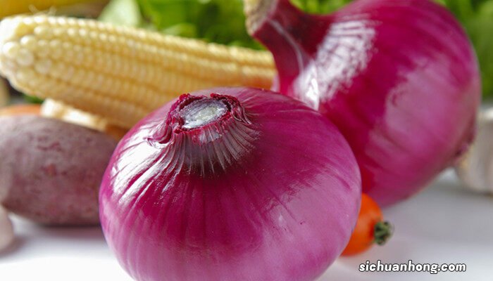 洋葱几天出苗? 洋葱几天出苗