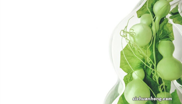 葫芦9月能种吗 葫芦9月份可以种植吗