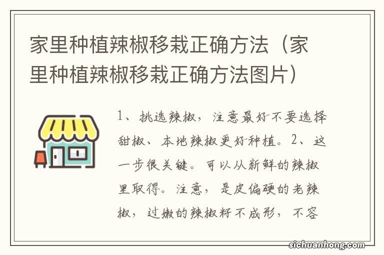 家里种植辣椒移栽正确方法图片 家里种植辣椒移栽正确方法