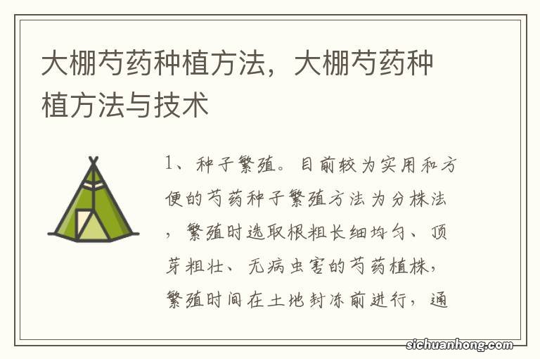 大棚芍药种植方法,大棚芍药种植方法与技术