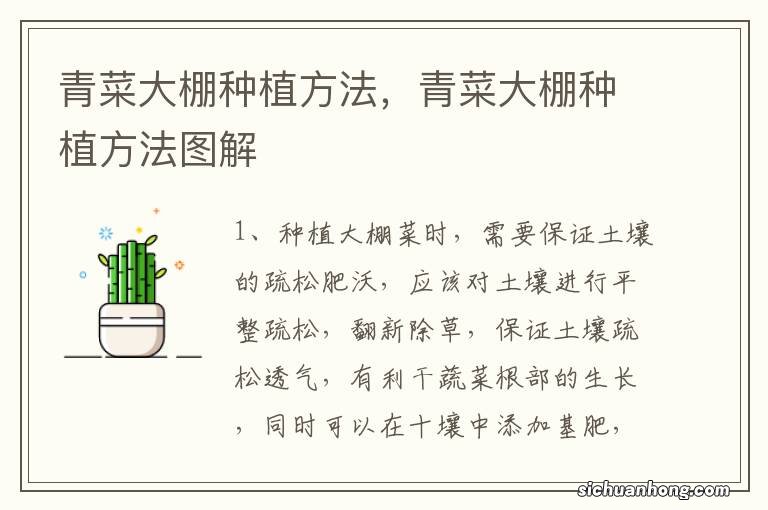 青菜大棚种植方法，青菜大棚种植方法图解