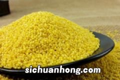 西瓜汁怎么榨好喝?夏季怎么喝西瓜汁好?