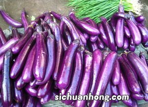 长茄子怎么做才好吃
