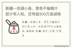 新疆一低调小县，景色不输喀什却少有人知，还有超300万亩胡杨林