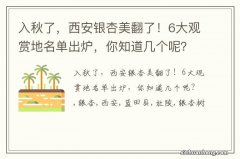 入秋了，西安银杏美翻了！6大观赏地名单出炉，你知道几个呢？