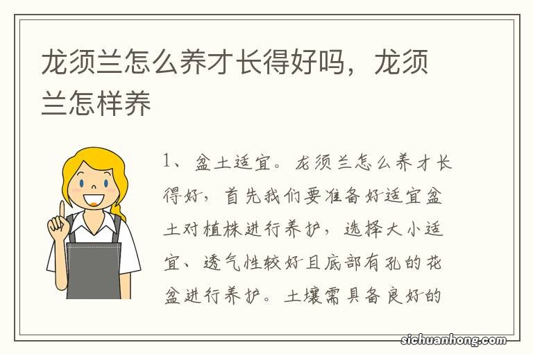 龙须兰怎么养才长得好吗,龙须兰怎样养