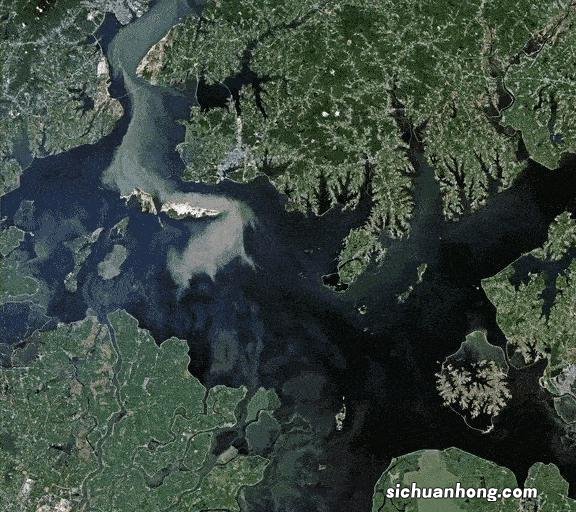 草地丝滑如毛毯!鄱阳湖水乡变成大草原,湖面已不足600平方公里