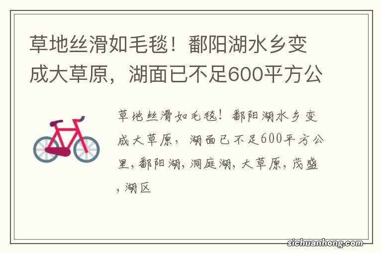草地丝滑如毛毯!鄱阳湖水乡变成大草原,湖面已不足600平方公里