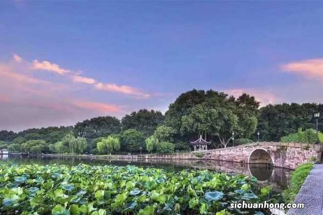 闻香赏桂，品茶赏味……长假过半，杭州这十条说走就走打卡路线“安利”给你