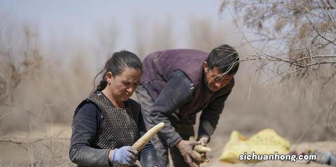 “死亡之海”中的神秘之地：达里雅布依乡，是中国最难抵达的村落