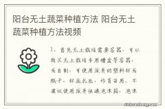 阳台无土蔬菜种植方法 阳台无土蔬菜种植方法视频