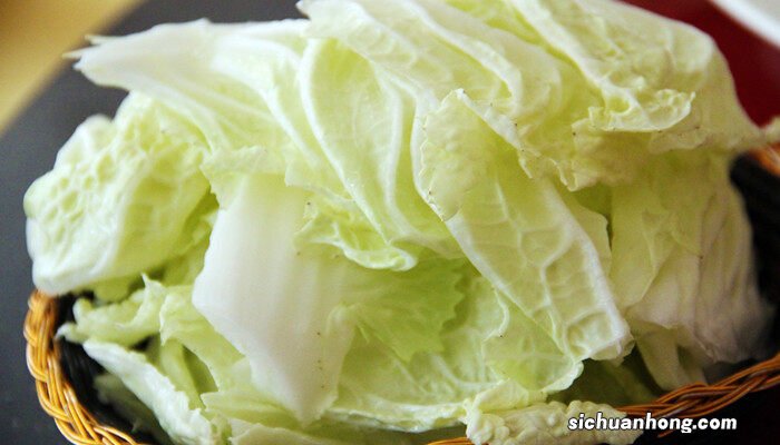 白菜最忌三种肥料 白菜移栽后如何快速缓苗