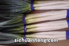 黑豆应该怎么吃？吃黑豆要注意什么？