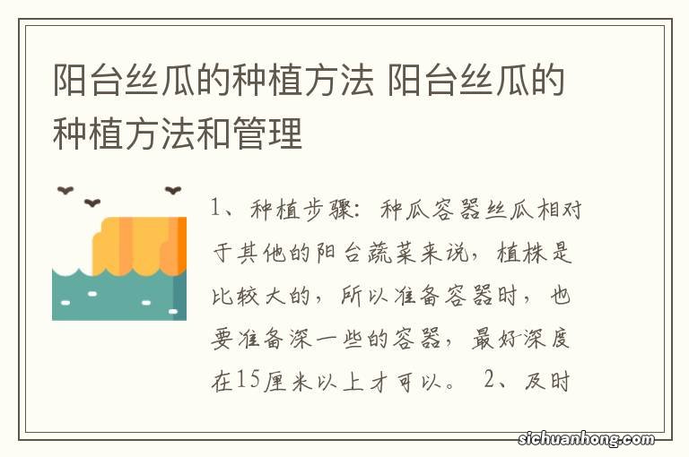 阳台丝瓜的种植方法 阳台丝瓜的种植方法和管理