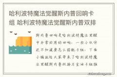 哈利波特魔法觉醒斯内普回响卡组 哈利波特魔法觉醒斯内普双排万金油卡组