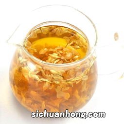 槐花泡茶有什么功效与作用