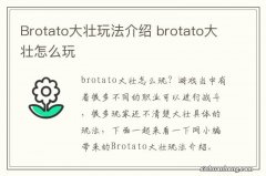 Brotato大壮玩法介绍 brotato大壮怎么玩