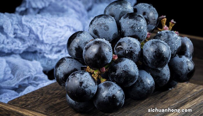 立秋后葡萄树还生长吗 立秋后葡萄苗还长吗