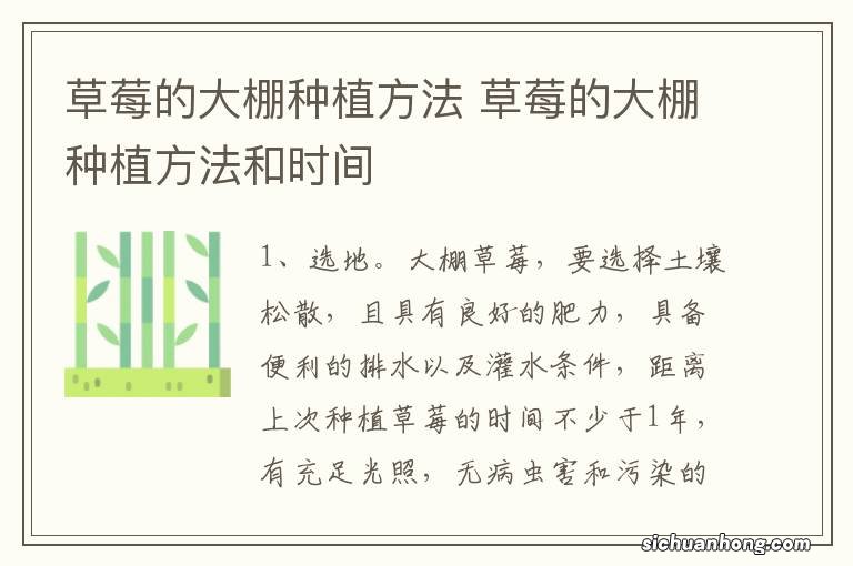 草莓的大棚种植方法 草莓的大棚种植方法和时间