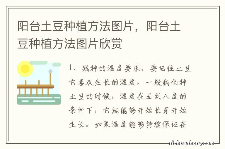 阳台土豆种植方法图片,阳台土豆种植方法图片欣赏