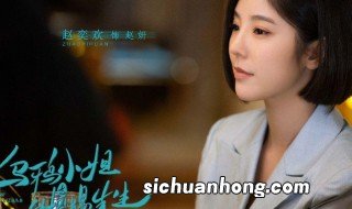 乌鸦小姐与蜥蜴先生演员表 乌鸦小姐与蜥蜴先生电视剧简介