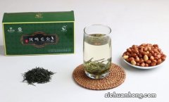 红茶绿茶用什么杯子泡