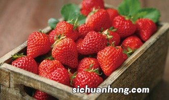 草莓怎么坐好吃