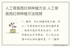 人工育苗西红柿种植方法 人工育苗西红柿种植方法视频