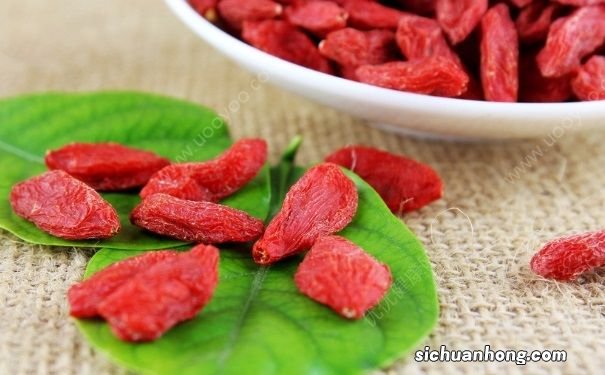 枸杞子一天吃多少才是好的？哪些人可以吃枸杞？