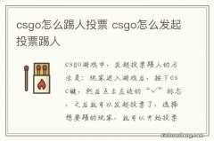 csgo怎么踢人投票 csgo怎么发起投票踢人