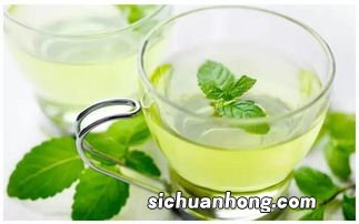 搭配什么茶可以瘦肚子