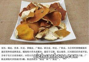陈皮不能与什么一起吃