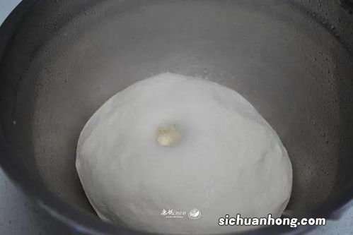 抽子皮有什么时候营养