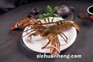 波士顿龙虾虾线怎么搞