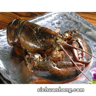 波士顿龙虾虾线怎么搞
