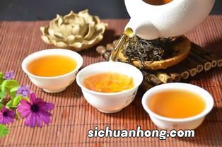 肠胃差的人能喝什么茶