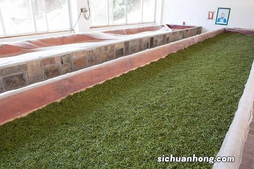 茶叶萎凋槽什么价格