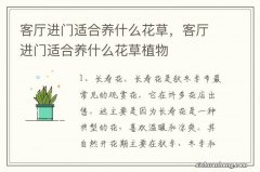 客厅进门适合养什么花草，客厅进门适合养什么花草植物