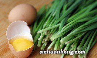 南方冬天怎么种植韭菜 南方冬天怎么种植韭菜根