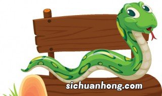 晚上开车见到蛇有什么预兆 见到蛇有什么预兆