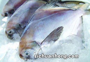 冰冻鱼怎么去腥味