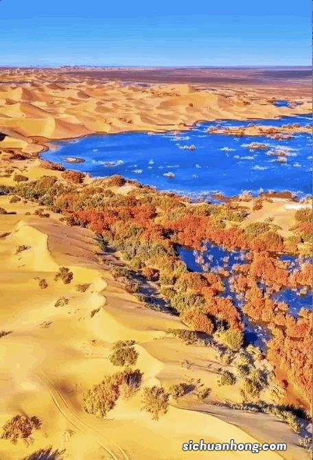 一生总该有一次，去内蒙古过秋天