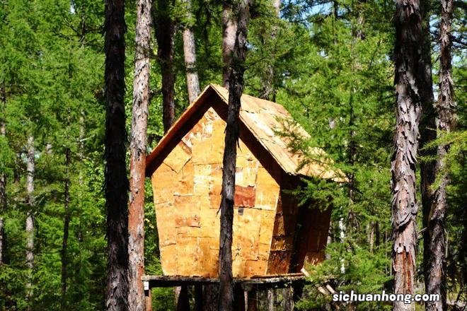 一生总该有一次，去内蒙古过秋天