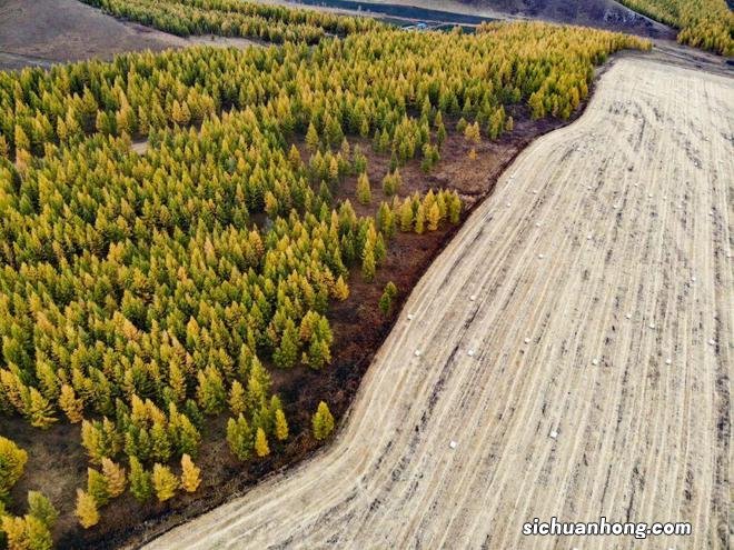 一生总该有一次，去内蒙古过秋天